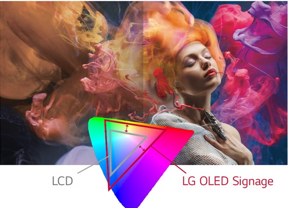 Изгибаемый (выпуклый или вогнутый) дисплей LG серии EF5F - передача цвета OLED